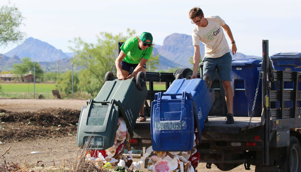 compost-cats-3